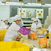 Liji nouilles en gros de style chinois non frit en bonne santé lo mein délicieuses nouilles instantanées