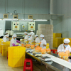 Restaurant Food Factory Wholesale 1,54 kg Nouilles frites instantanées de style cantonais.