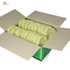 Liji oem odm acceptable nouilles asiatiques en gros nouilles nutritives aromatisées