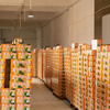 Échantillons sans frits en usine de Chine 5 kg nutritives nouilles savoureuses en gras faible en gras