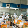 Chine Canteen Nouilles en gros de marque privée nouilles végétaliennes chinoises