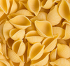 Fournisseur de sacs de pâtes sèches de cuisson de 12 minutes de blé dur de qualité supérieure en forme de Conchiglie de 500 g